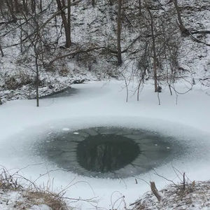 Meet your Posher, Anastasia